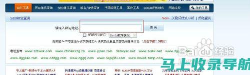 深入了解站长工具SEO综合查询：提升网站优化效率